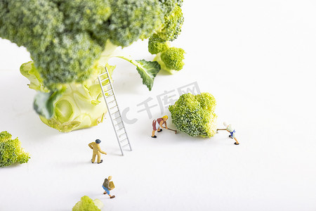 减肥创意摄影照片_西兰花蔬菜微缩创意海报
