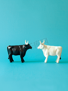蓝色背景上的一对牛和公牛形象有自由空间