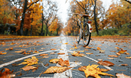 秋季废弃的自行车道符号