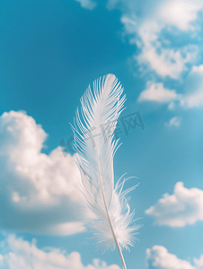 蓝天背景上雪白的羽毛带有云彩亮度概念