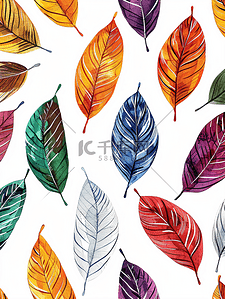 多彩涂鸦背景背景图片_彩色叶子图案孤立在白色背景无缝羽毛图案