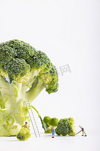 西兰花蔬菜微缩创意素材图片