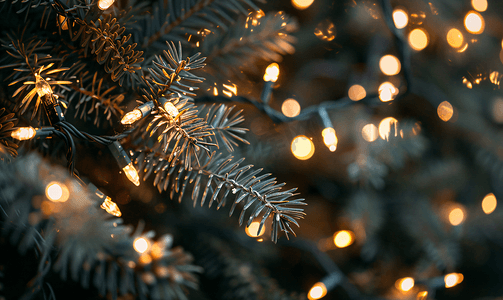 天然圣诞树上的串灯特写