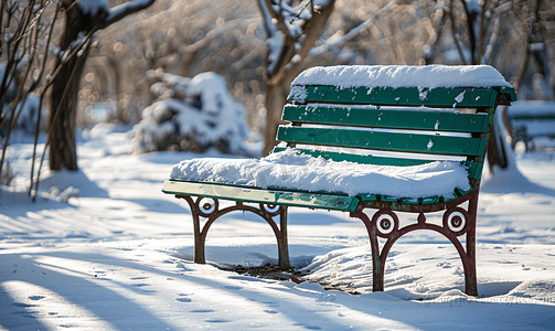 积雪覆盖摄影照片_冬季积雪覆盖的城市花园中的绿色长椅