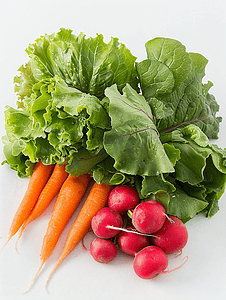 白色背景中的生菜胡萝卜和一束萝卜