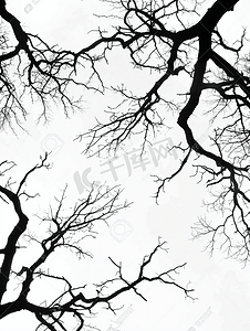 树剪影摄影照片_秃树枝的黑色剪影万圣节背景黑色和白色