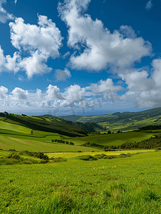 情节摄影照片_圣米格尔岛上的绿草如茵、牧场蔚蓝天空