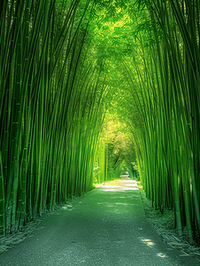 竹隧道步道