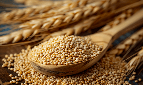 免费红包摄影照片_勺子背景中木勺中的小米粒与小麦小米种子