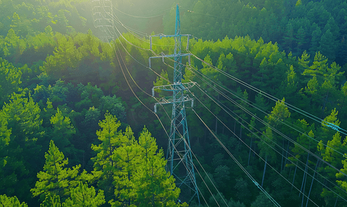森林输电线路带电线的钢塔高压基础设施