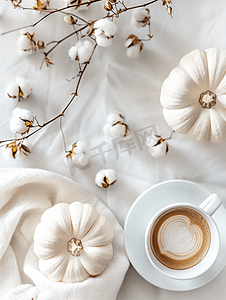 白南瓜咖啡和棉花花