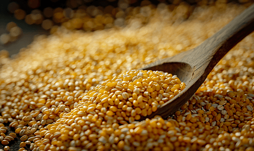 勺子背景中木勺中的小米粒与小麦小米种子