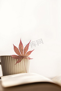 秋天枫叶咖啡逆光图片