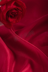 红玫瑰情人节红色背景