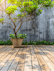 旧硬木地板或地板以及花园装饰植物
