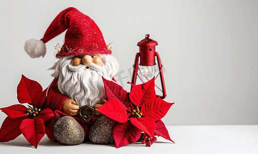 童话的背景摄影照片_白色背景上可爱的侏儒圣诞侏儒与灯一品红星红色