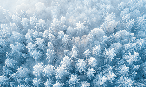 冬季山摄影照片_冬季森林景观
