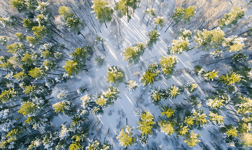冬季山摄影照片_冬季森林景观