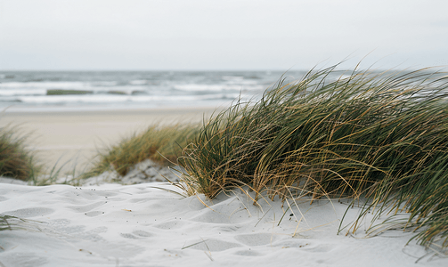邓恩在丹麦的沙滩上有草和沙在海岸度假时徒步旅行