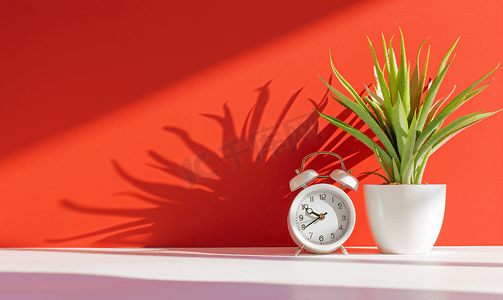 红色背景中的白色复古闹钟和室内植物