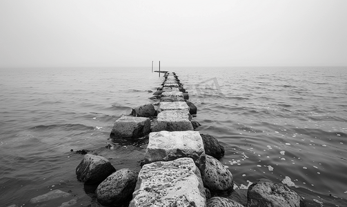 ai海草摄影照片_石堤伸入丹麦海岸附近的水中黑白镜头