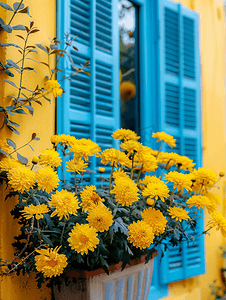 黄人怪物摄影照片_黄房子附近一条街上的黄菊花有蓝色百叶窗