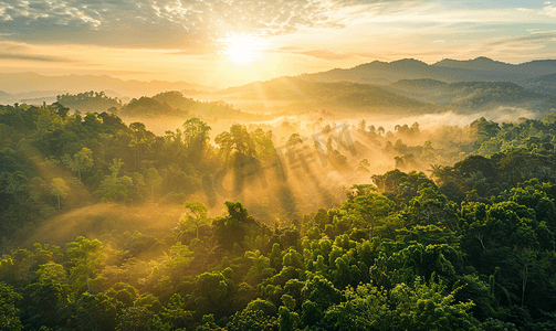 绿色丛林摄影照片_泰国森林鸟瞰图