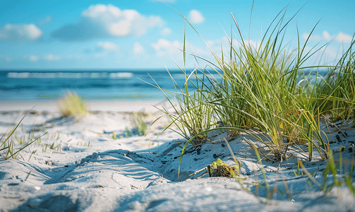 邓恩在丹麦的沙滩上有草和沙在海岸度假时徒步旅行