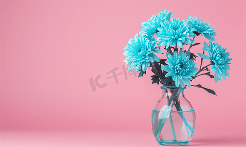 粉红色背景花瓶中的蓝色菊花复制空间