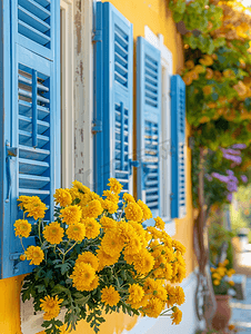 黄人怪物摄影照片_黄房子附近一条街上的黄菊花有蓝色百叶窗