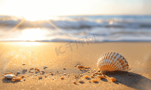背景阳光沙滩摄影照片_沙滩上的阳光任何海滩度假主题的概念