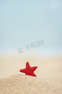 创意个性炫酷摄影照片_夏天沙滩上的红色小海星