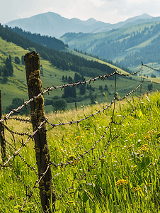 山上的草地上有铁丝网作为牧场围栏