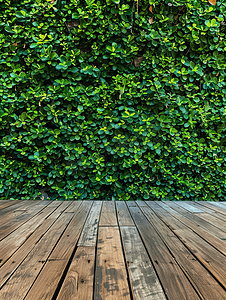 建筑木板摄影照片_绿色灌木和木板用作墙面覆盖物
