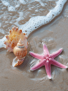 沙滩上的海星和粉红色贝壳度假旅游海滩概念复制空间