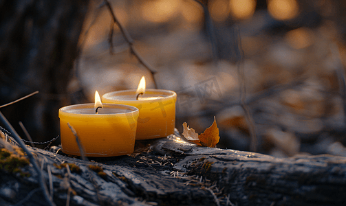 森林夜摄影照片_两支蜡烛森林里一根旧木头上的两支蜡蜡烛