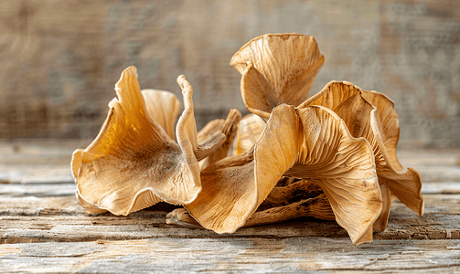 干木耳或木耳蘑菇犹太人耳蘑菇真菌木质背景