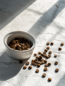干宠物食品装在白色瓷碗里散落在地板上