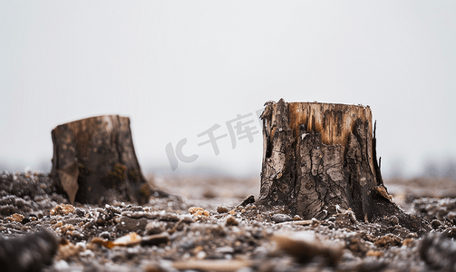 破碎时空摄影照片_破碎的土壤和腐烂的树桩