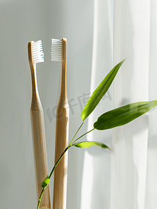 白色的环保牙刷和竹子植物