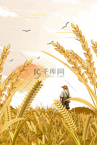 未成熟的麦穗背景图片_芒种麦子简约大气文艺24节气小麦丰收图片