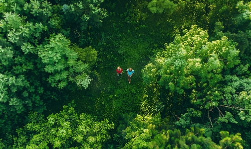从上面看孩子们在夏日白天一起在绿色森林里
