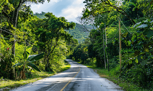 公路背景图摄影照片_热带丛林森林与道路穿过墨西哥坎图尼尔金村