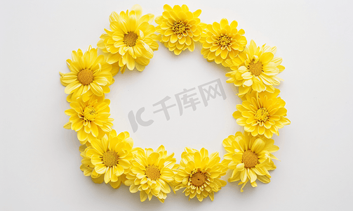 浪漫圆框摄影照片_黄色花朵圆框白色背景菊花花环复制空间
