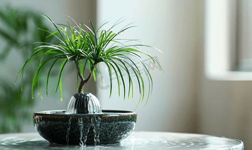 莎草伞植物和陶瓷罐中的小喷泉