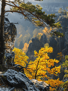 易北河砂岩山脉的秋季景观
