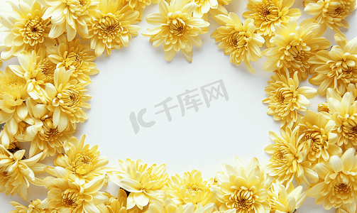 浪漫圆框摄影照片_黄色花朵圆框白色背景菊花花环复制空间