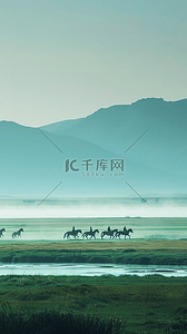 新疆旅游阿勒泰夏天牧场牧马风景设计