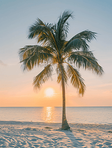 美丽的日落与棕榈树在热带海滩海景背景