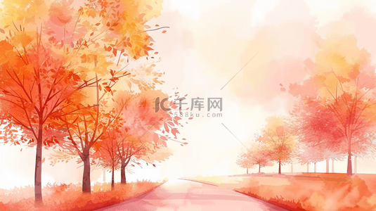 秋天初秋橘红枫树林背景